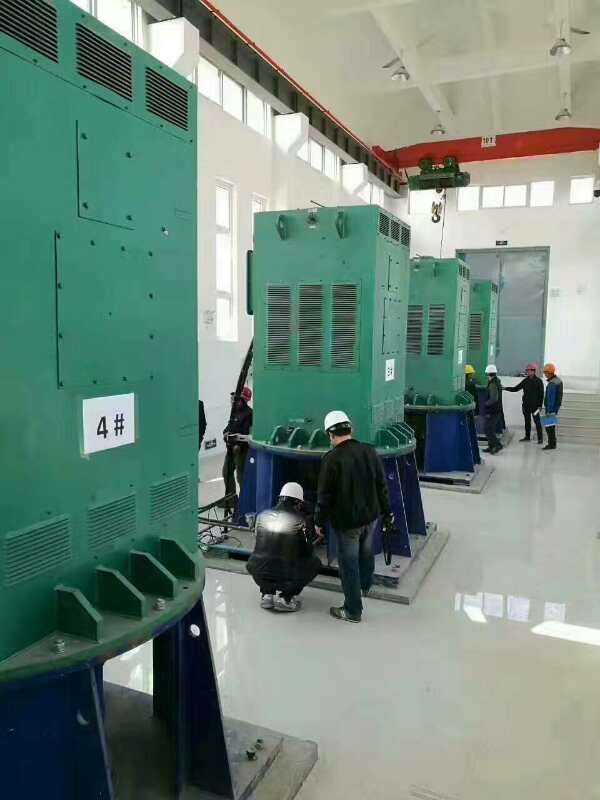 克井镇某污水处理厂使用我厂的立式高压电机安装现场
